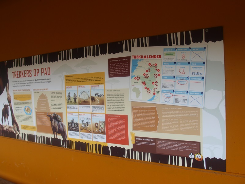 Savannah education (April 19th 2015)