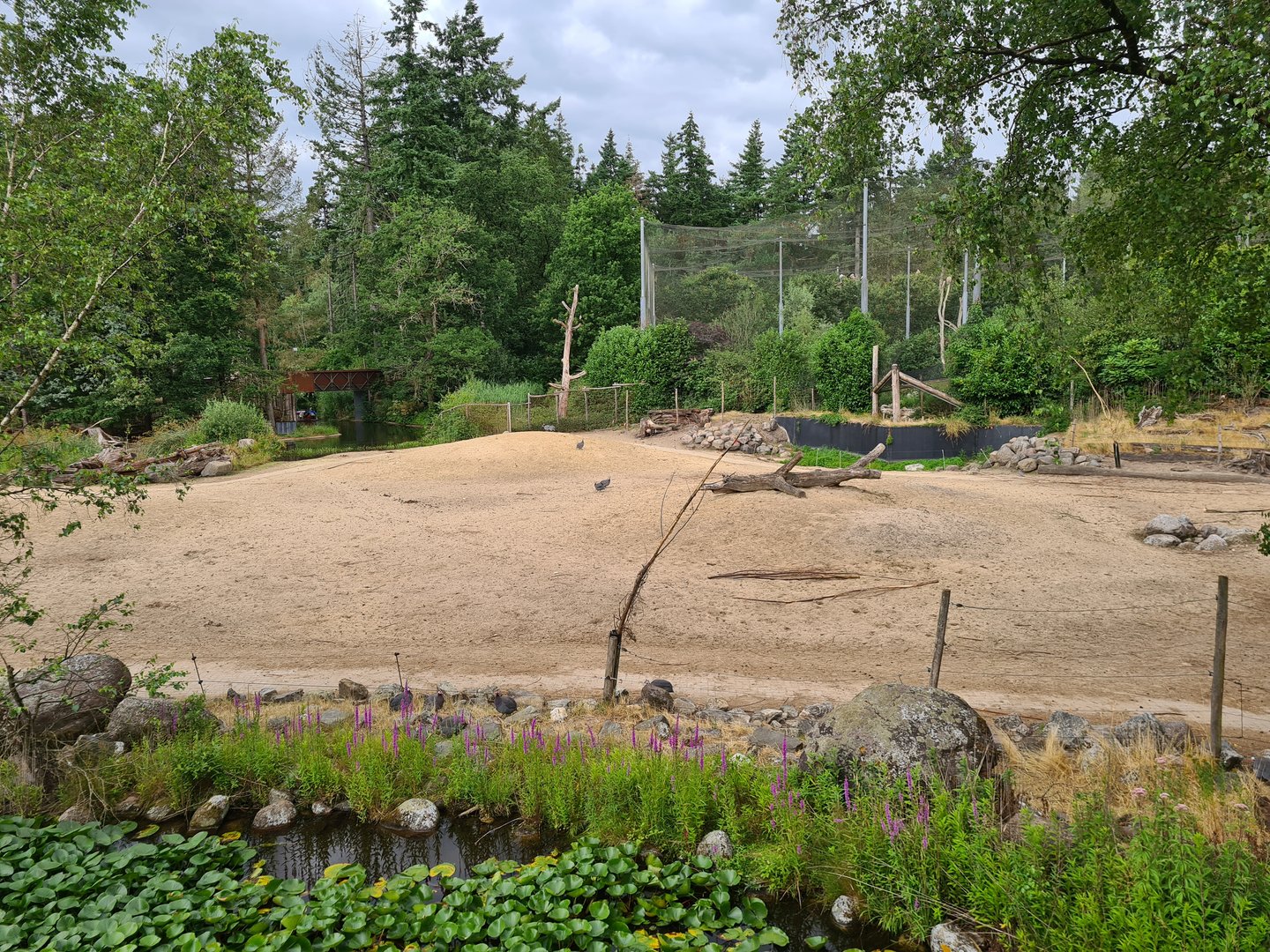Savannah enclosure and Giant aviary