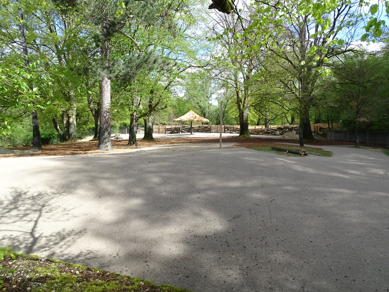 Savannah enclosure first half (under construction)