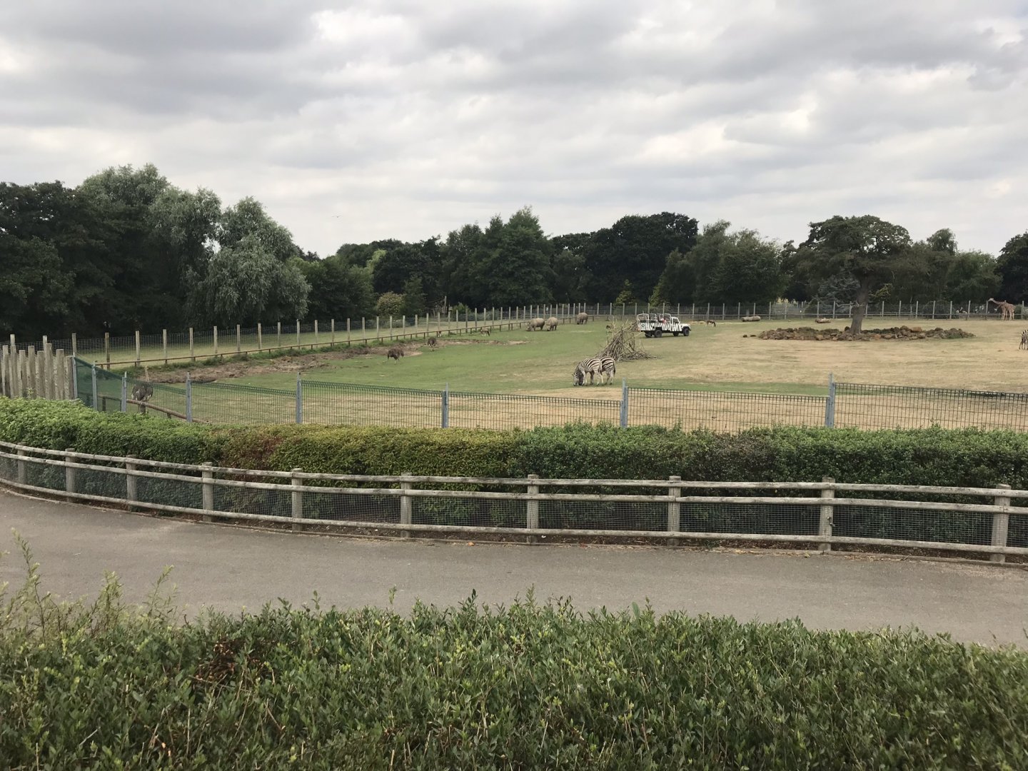 Savannah exhibit 080818