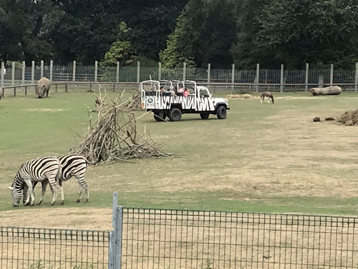 Savannah exhibit 080818