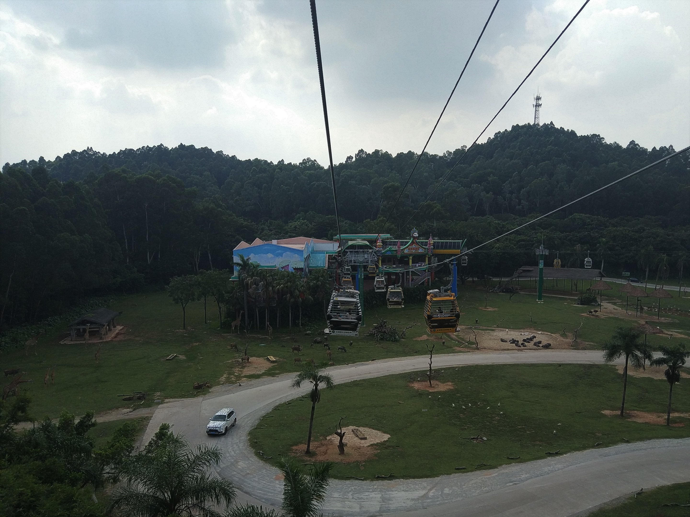Savannah Exhibit Cable Car Station, seen from Cable Car