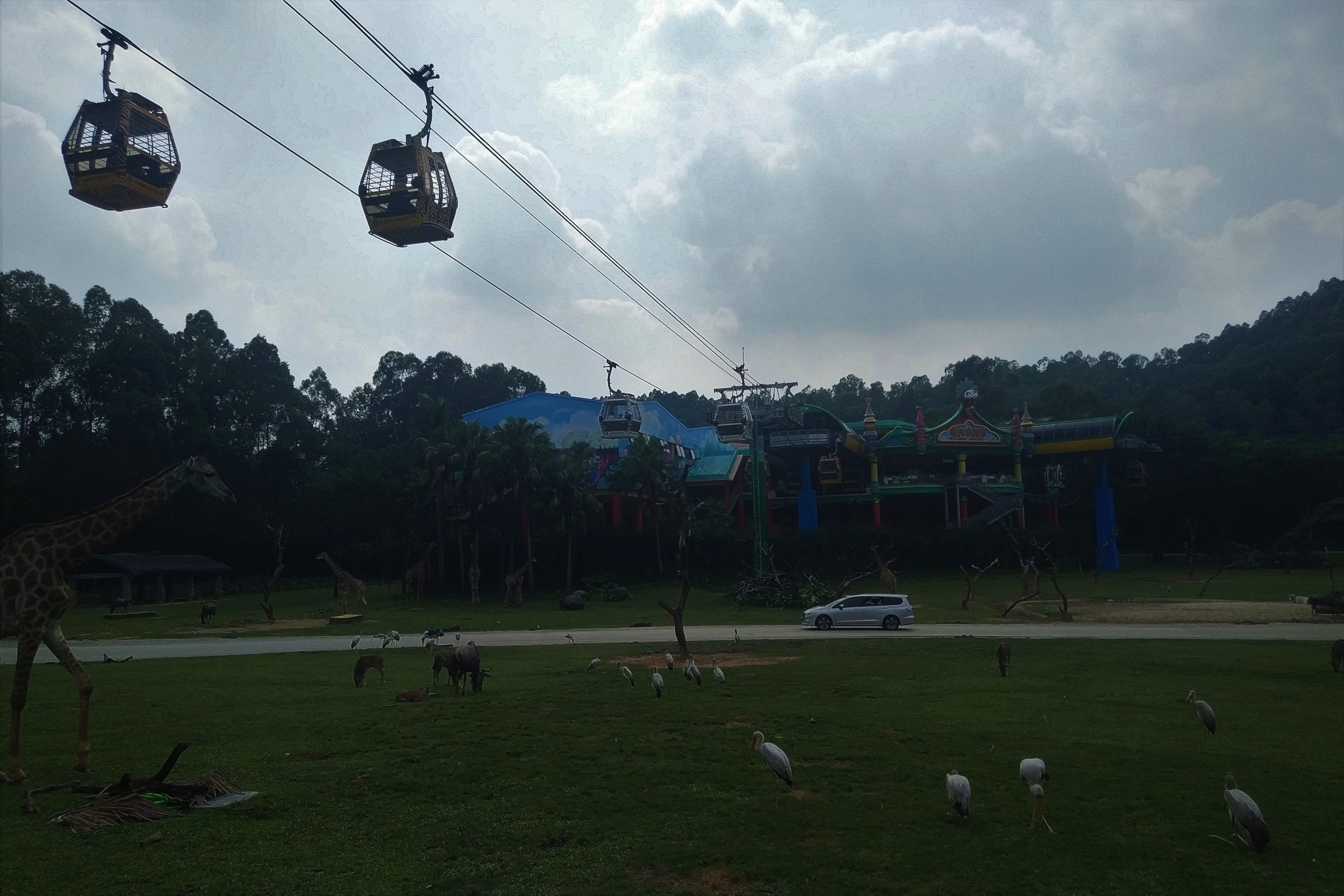 Savannah Exhibit Cable Car Station, seen from Safari Bus