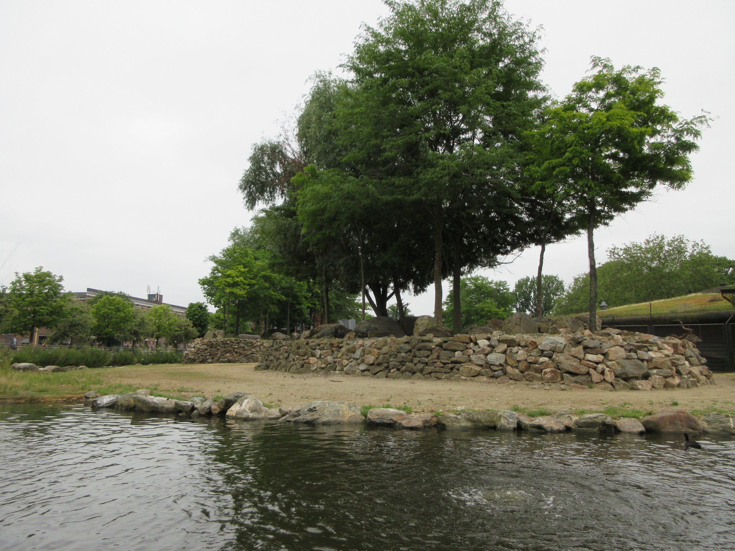 Savannah Exhibit (giraffes, zebras, gazelles, Greater Kudu)
