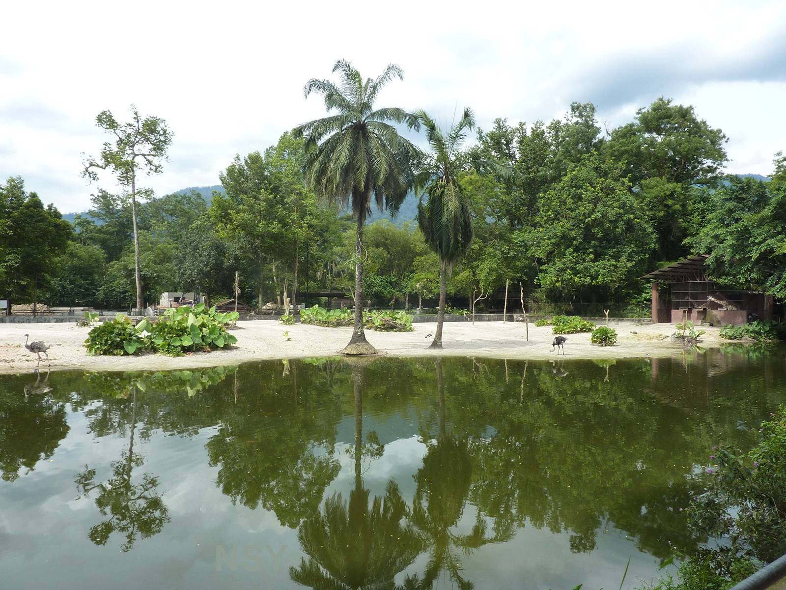 Savannah exhibit, May 2013
