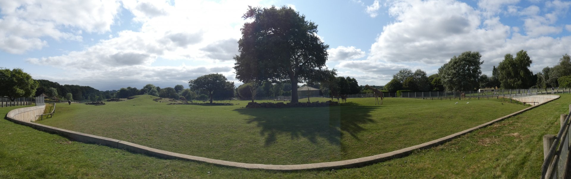 Savannah exhibit panorama