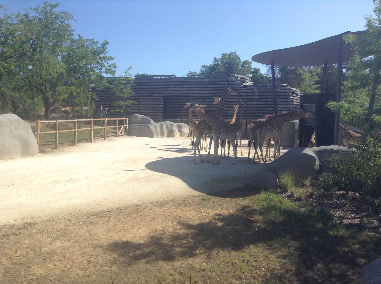 Savannah Exhibit - Paris Zoo.