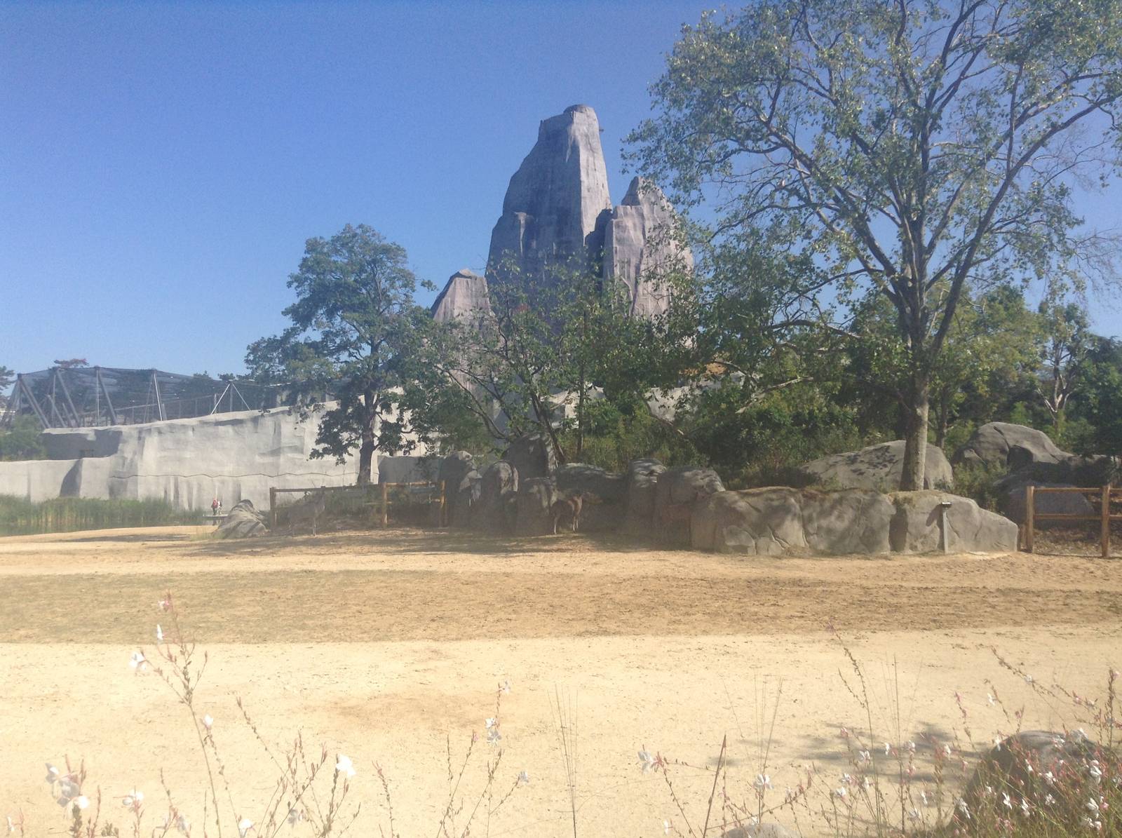 Savannah Exhibit - Paris Zoo