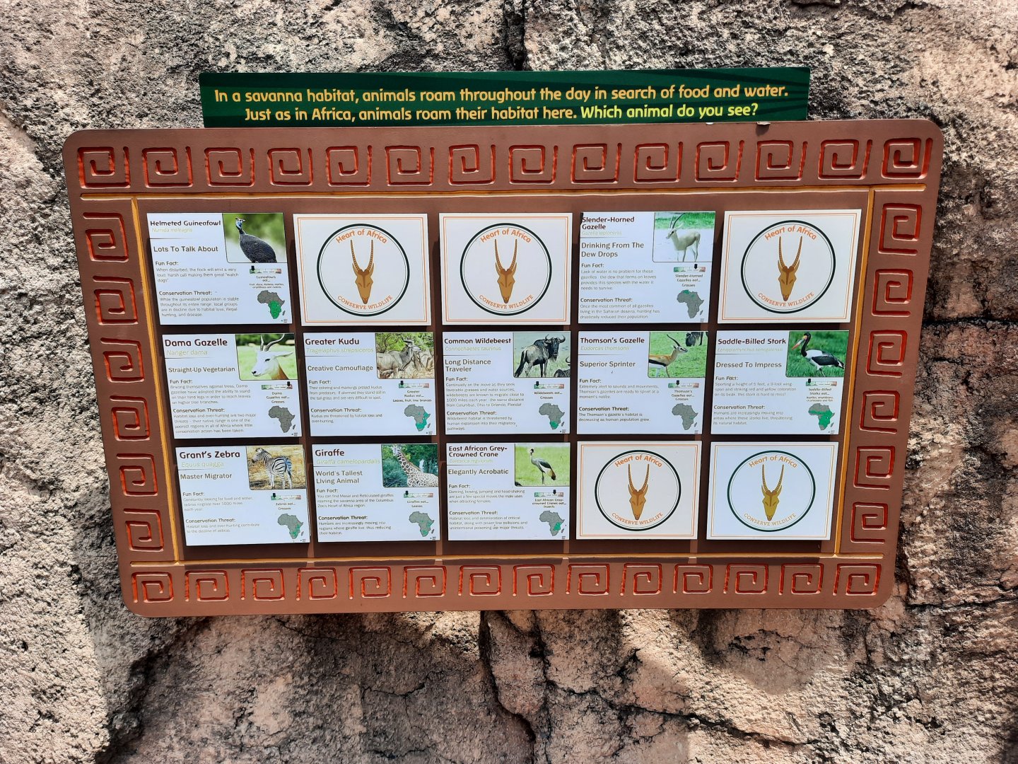 Savannah Exhibit Species List