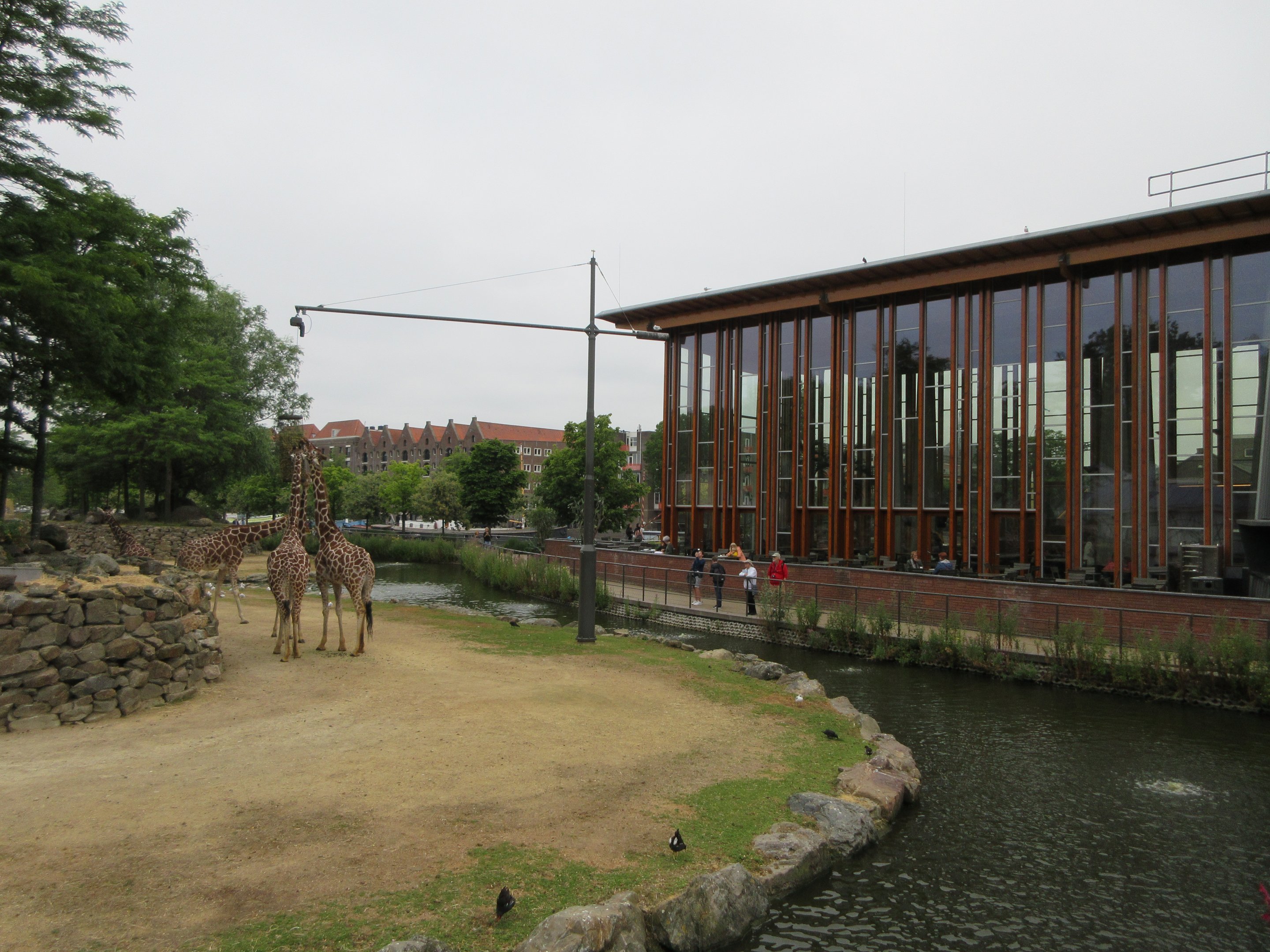 Savannah Exhibit + Tall Restaurant