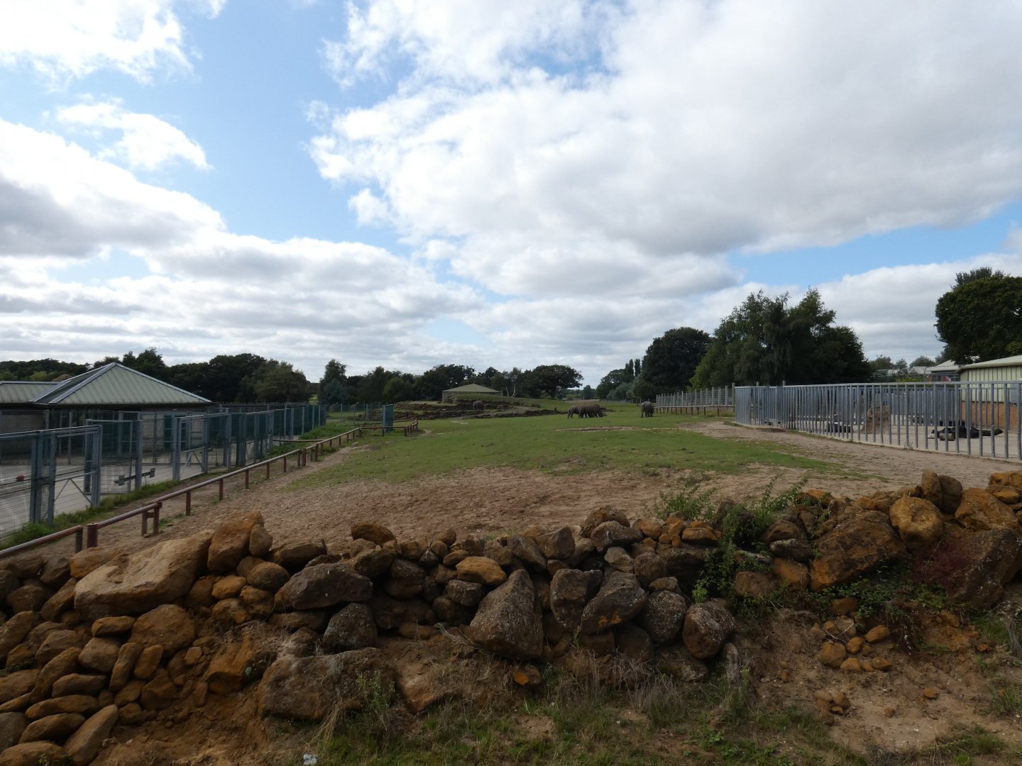 Savannah exhibit viewing area