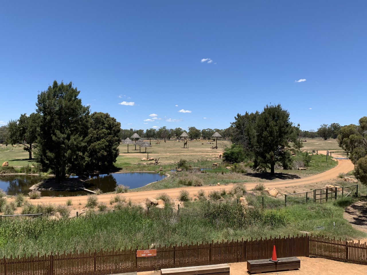 Savannah from the Viewing Tower