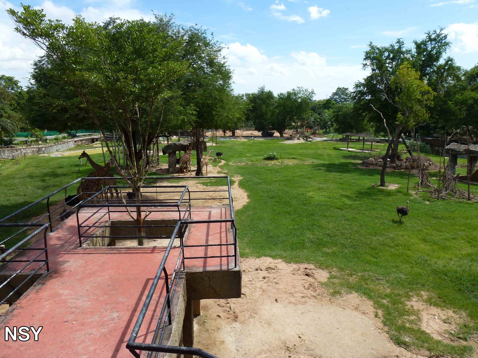 Savannah from viewpoint, June 2013.