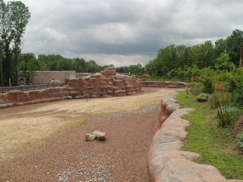 Savannah ,Gaiapark Kerkrade Zoo
