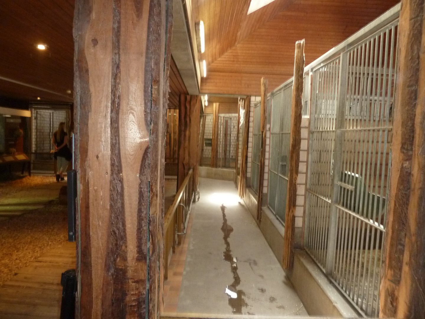 Savannah house interior