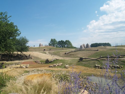 Savannah in Zoom Erlebniswelt
