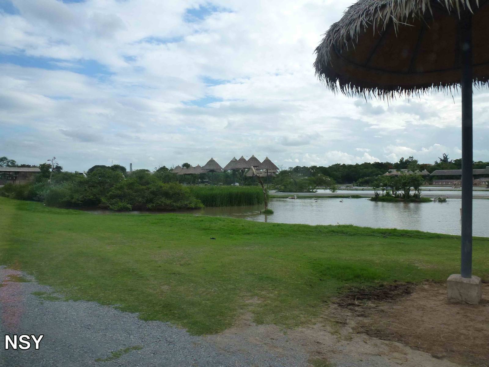 Savannah, June 2013.
