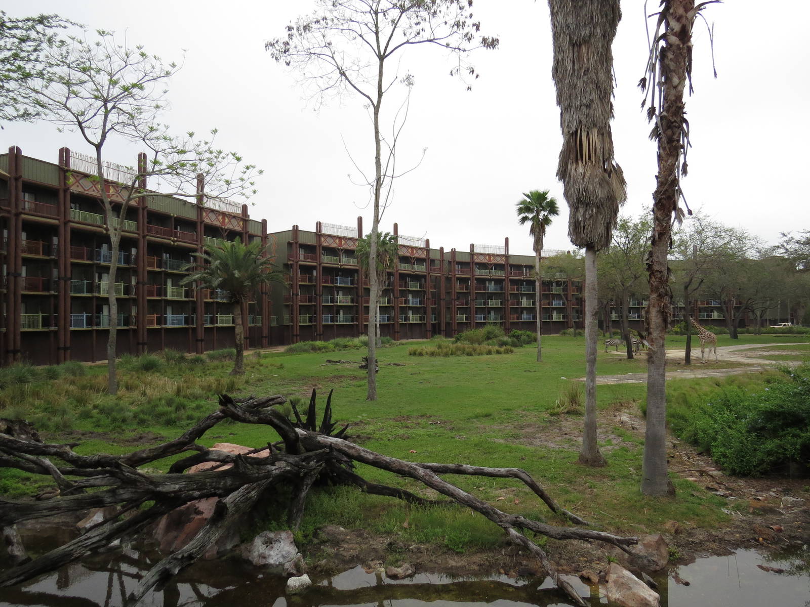 Savannah, March 2015