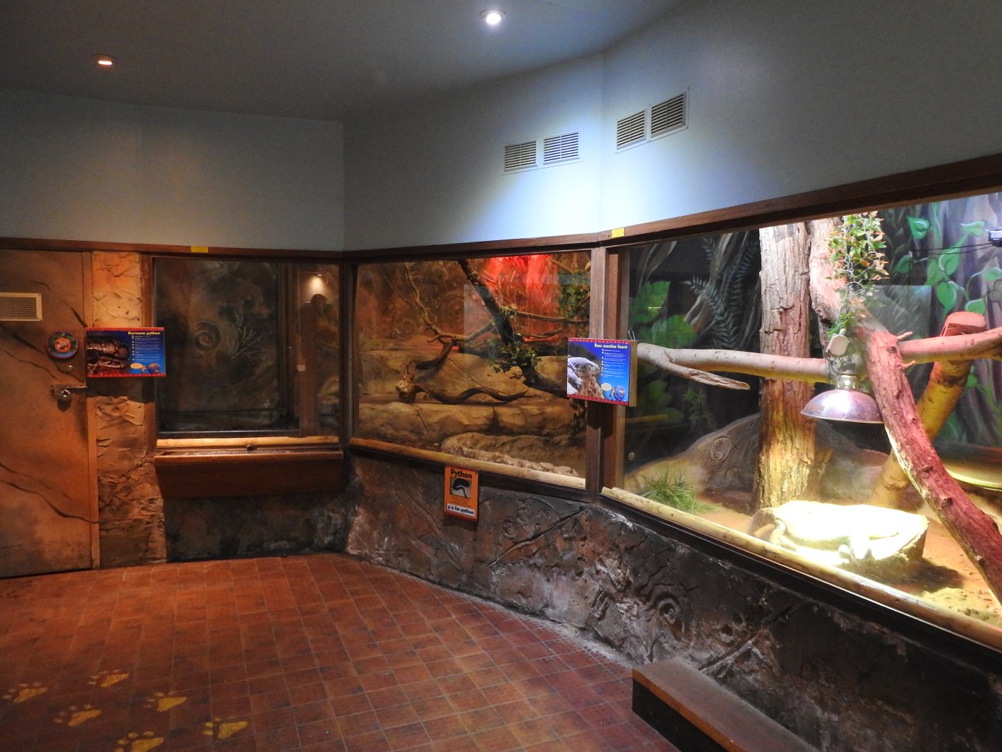 Savannah Monitor (Varanus exanthematicus) and Burmese Python (Python bivittatus) Enclosures