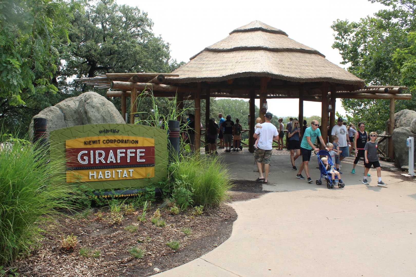 Savannah Overlook - - African Grasslands
