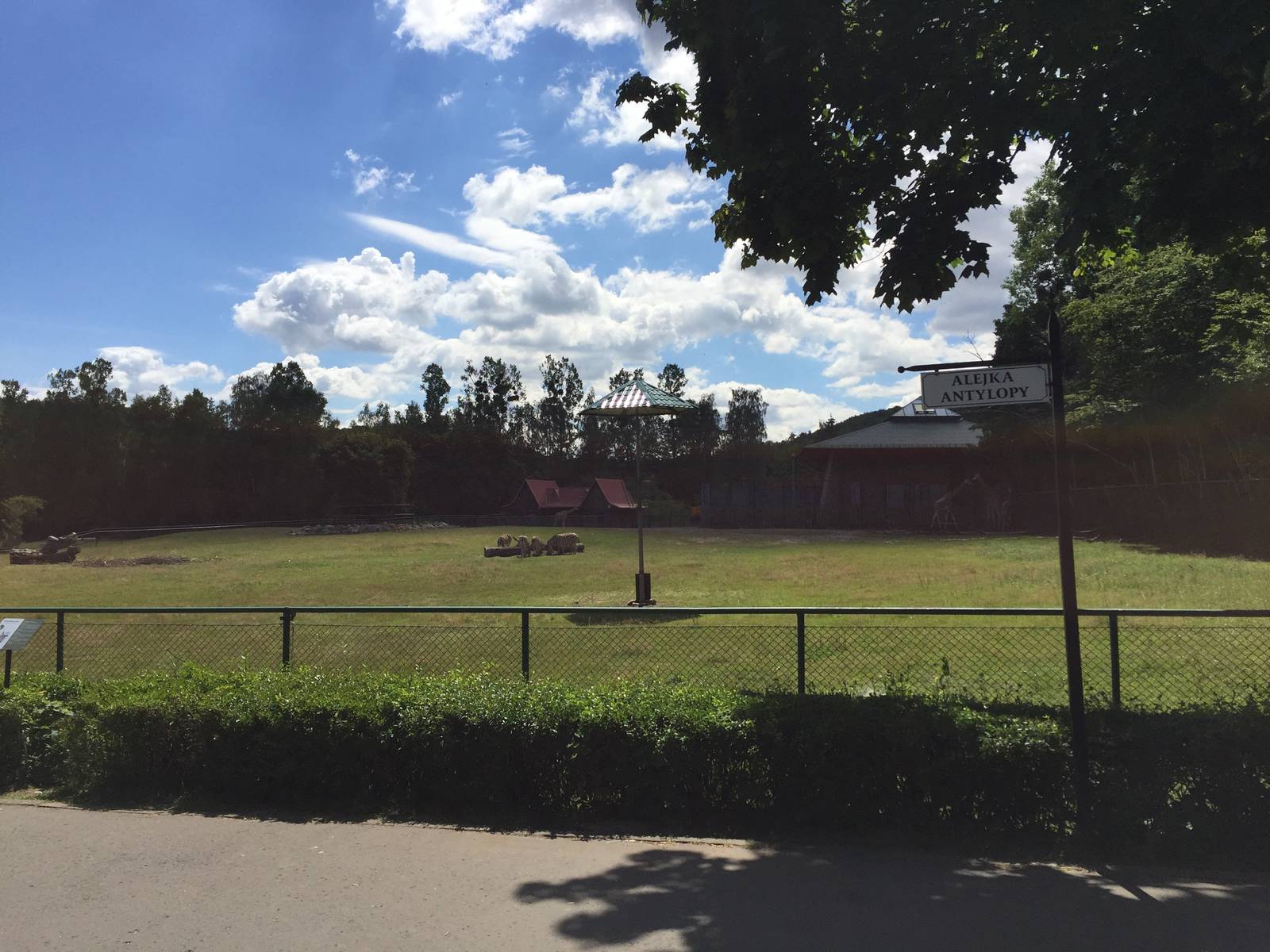 Savannah paddock - Zoo Gdansk 20.07.16.