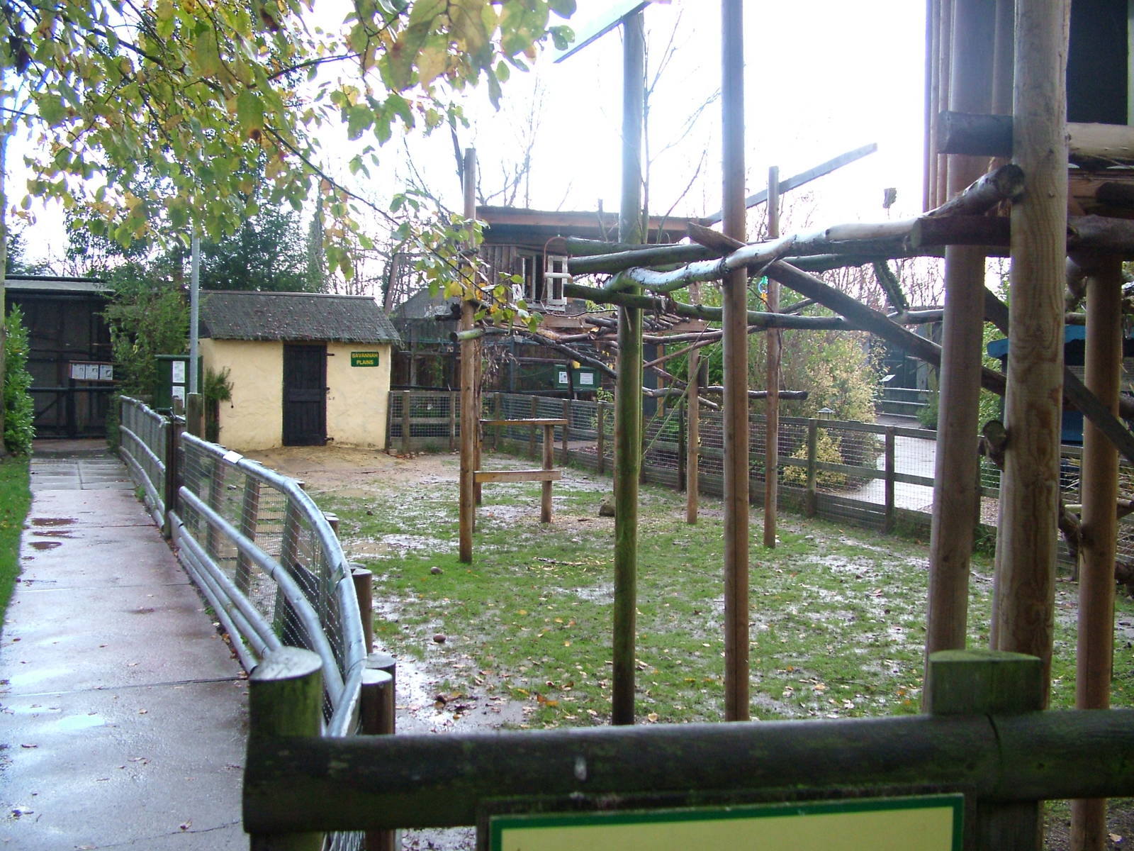 Savannah Plains at Tropical Wings 29/11/09