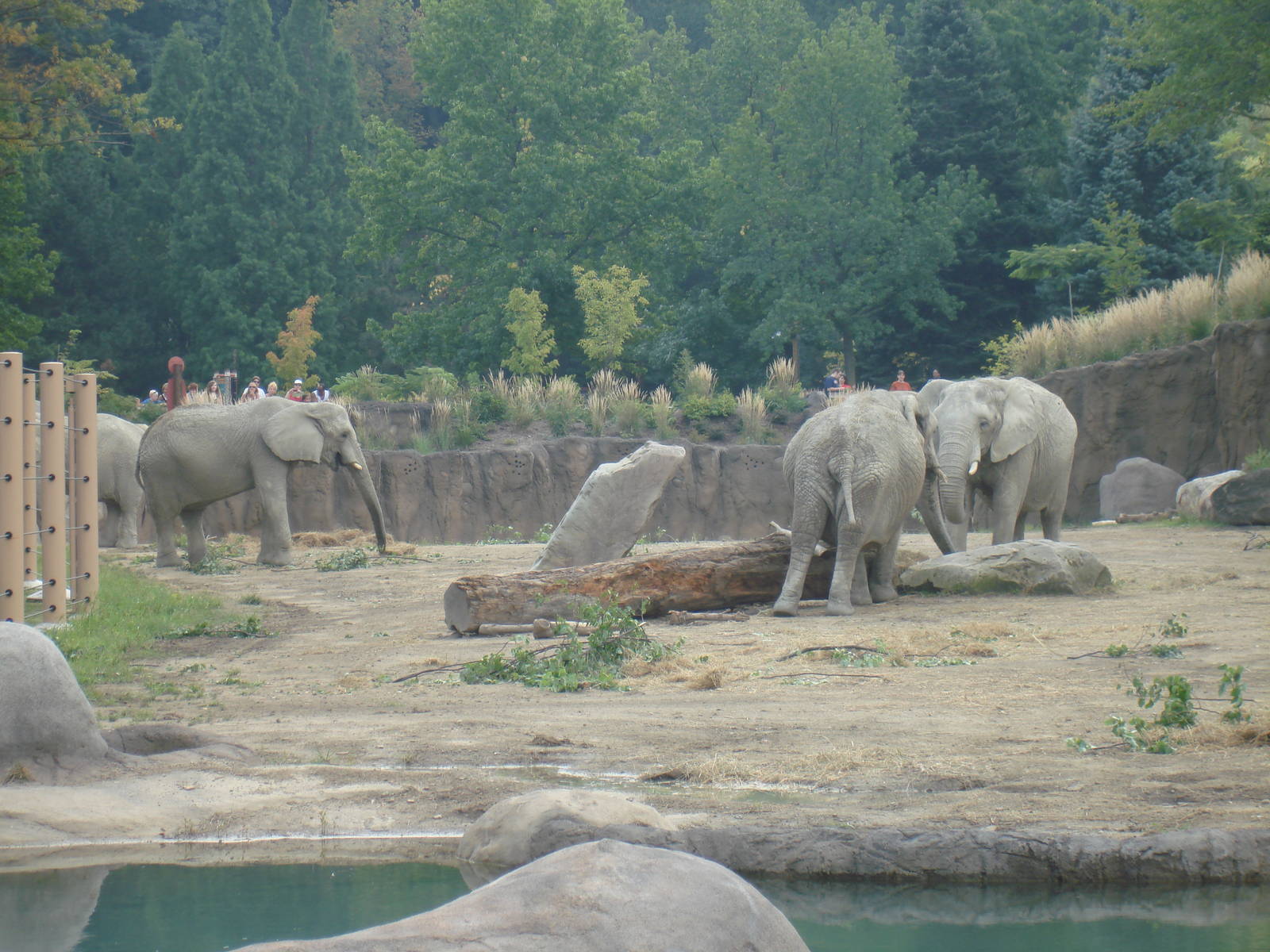 Savannah Range & Residents