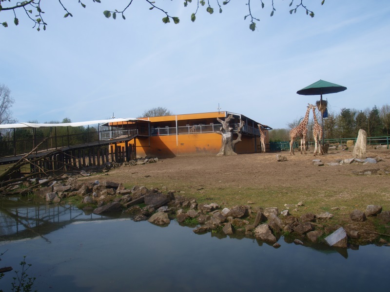 Savannah & savannah building (April 19th 2015).