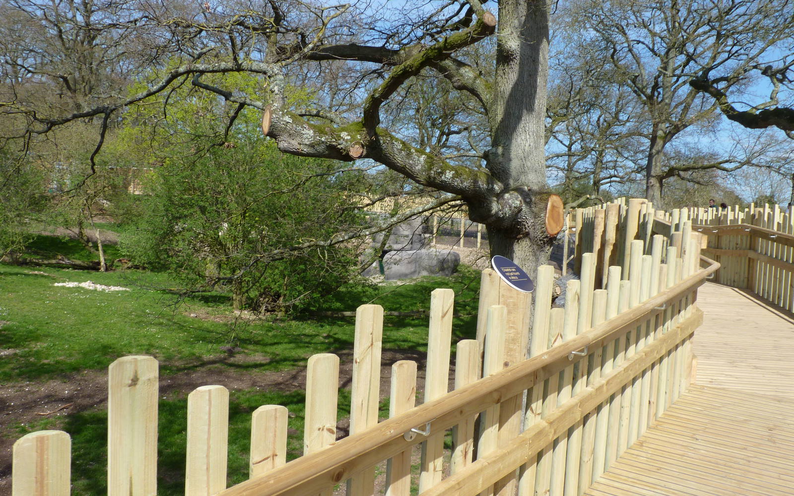 Savannah Tracks - Boardwalk