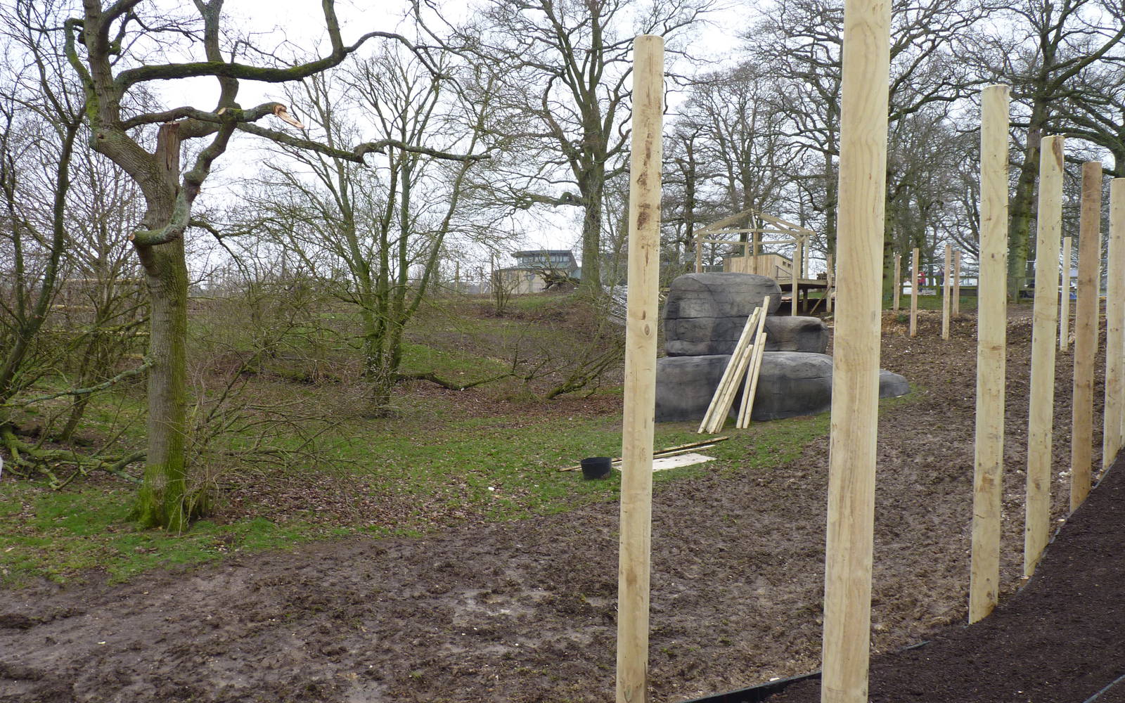 Savannah Tracks Development