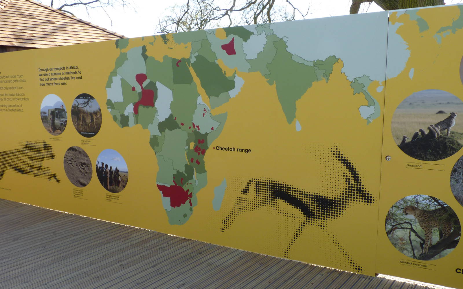 Savannah Tracks - Signage