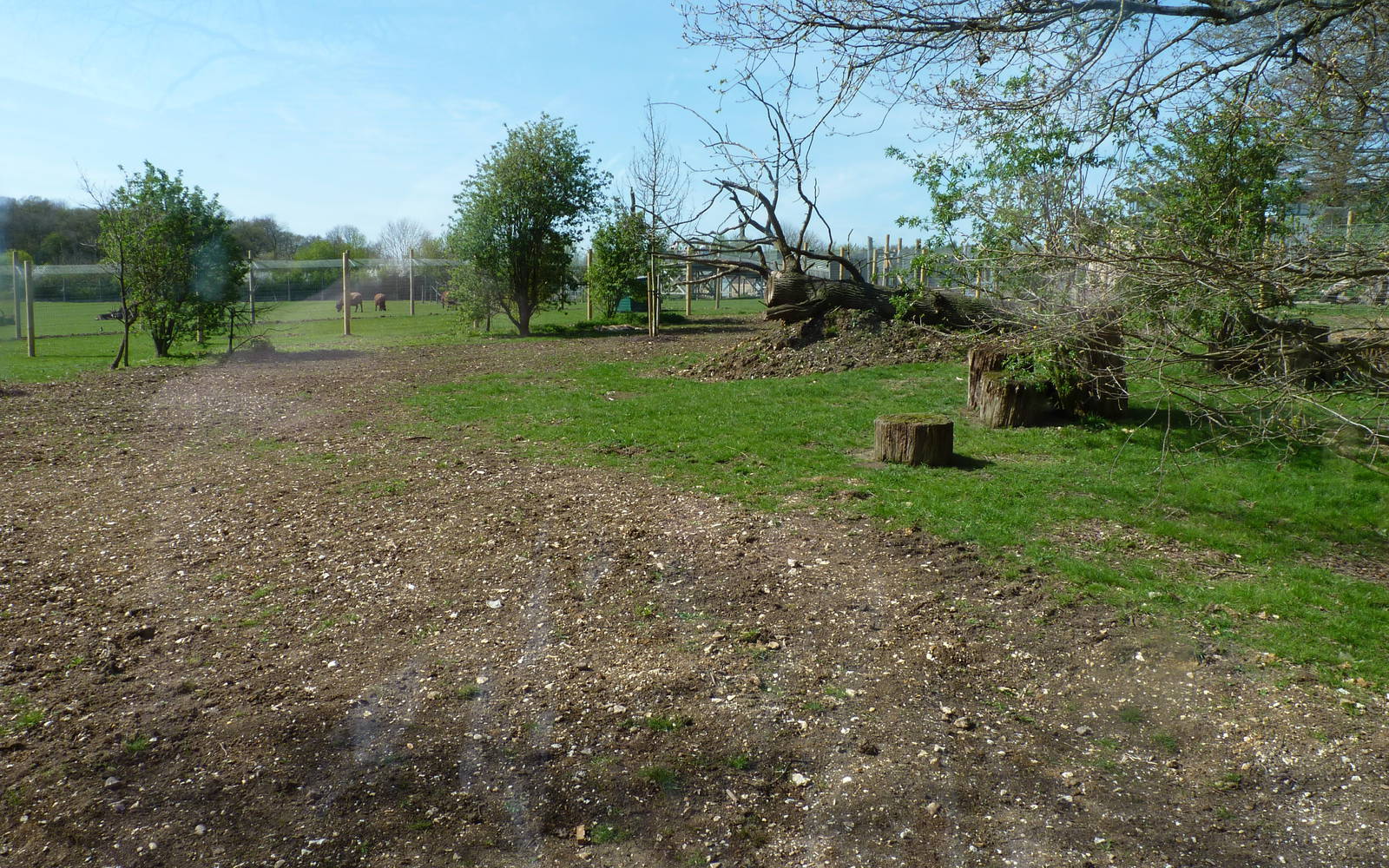 Savannah Tracks - Upper Enclosure