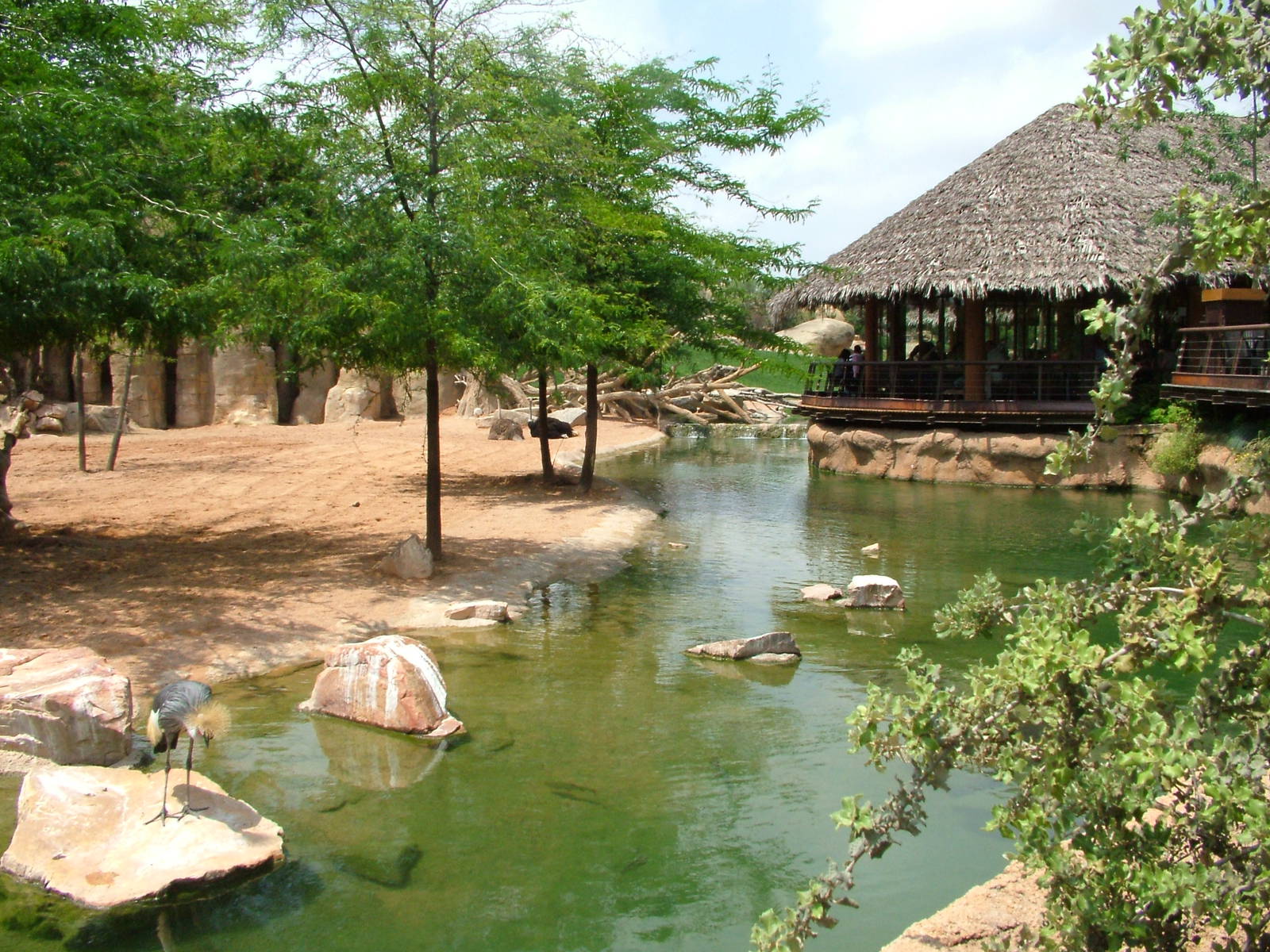 Savannah Viewing at Bioparc Valencia, 28/05/11