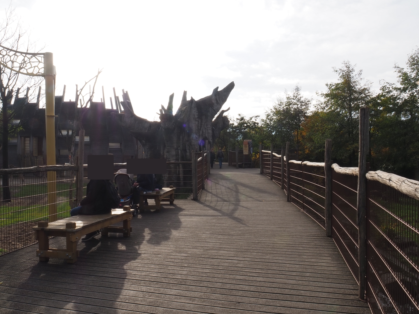 Savannah viewing walkway (Nov 10th, 2018)