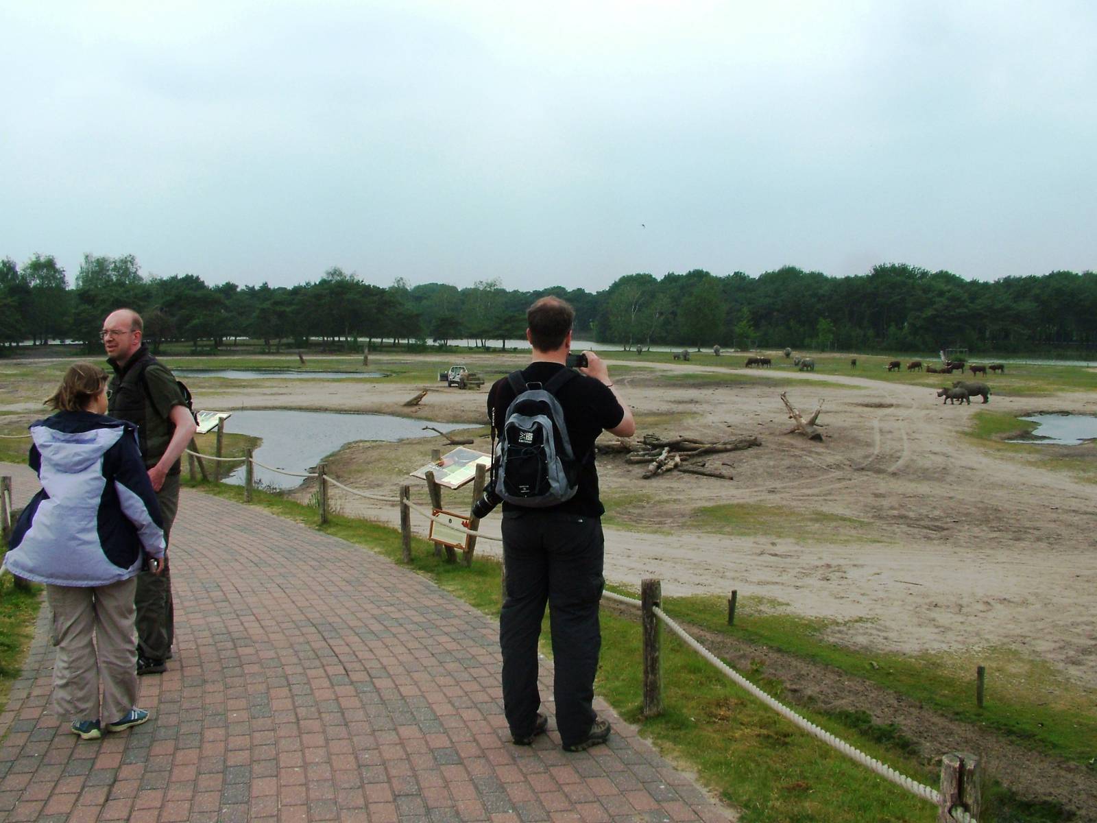 Savannah Walkway at Beekse Bergen, 31/05/12