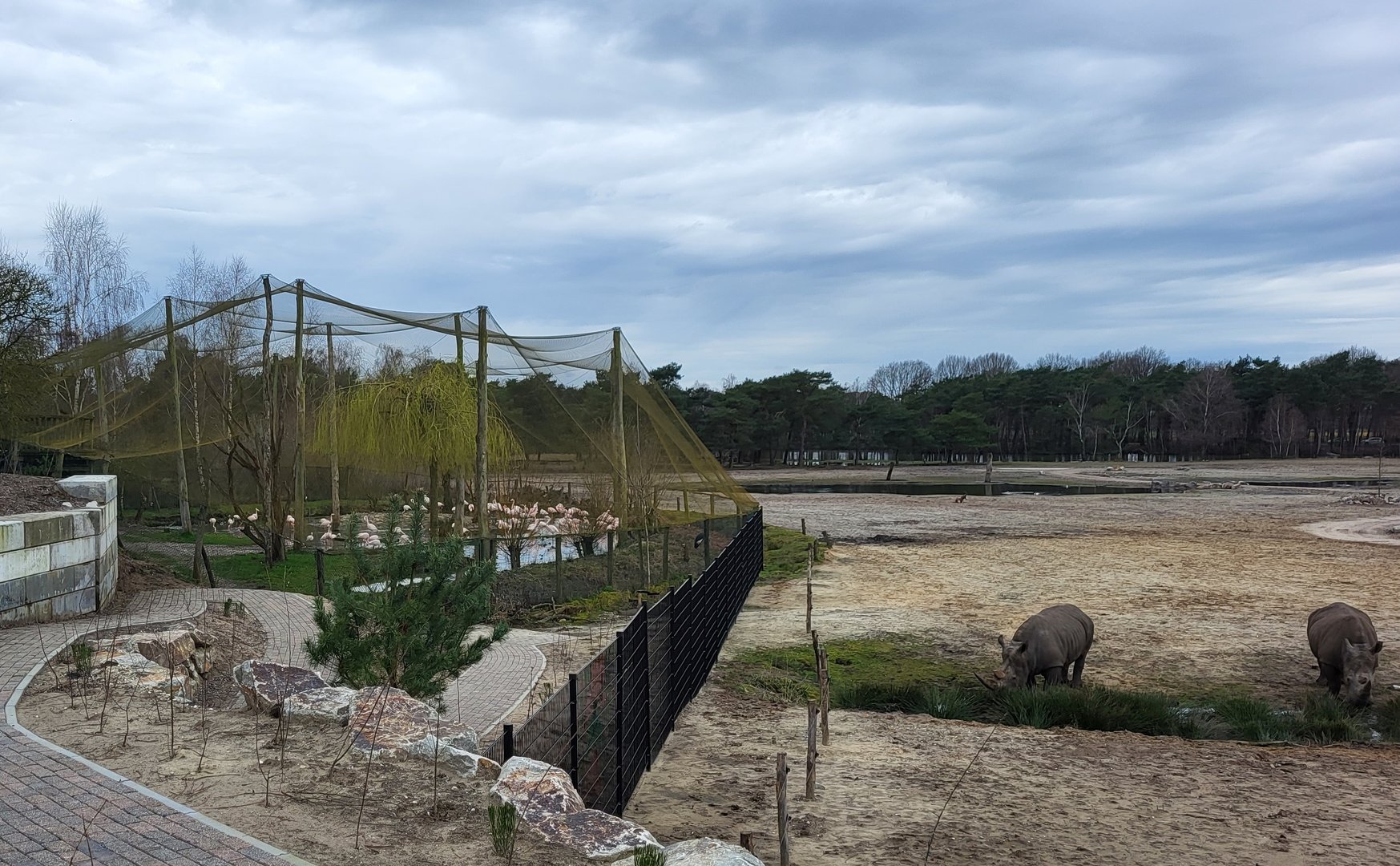 Savanne-aviary and White rhinos