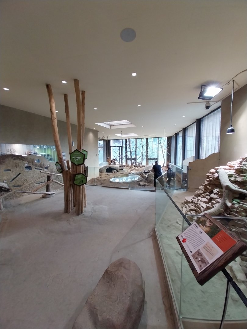 Savannenhaus general view