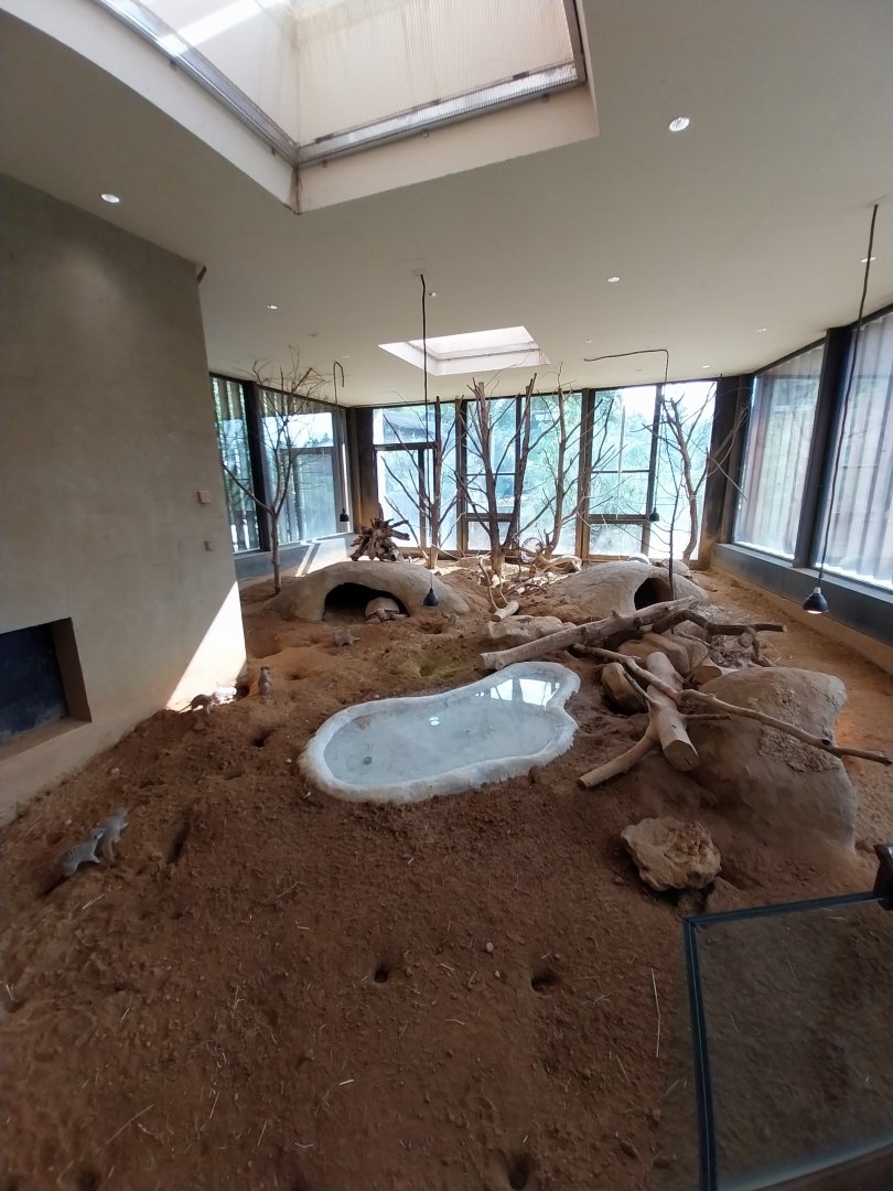Savannenhaus - Meerkat enclosure