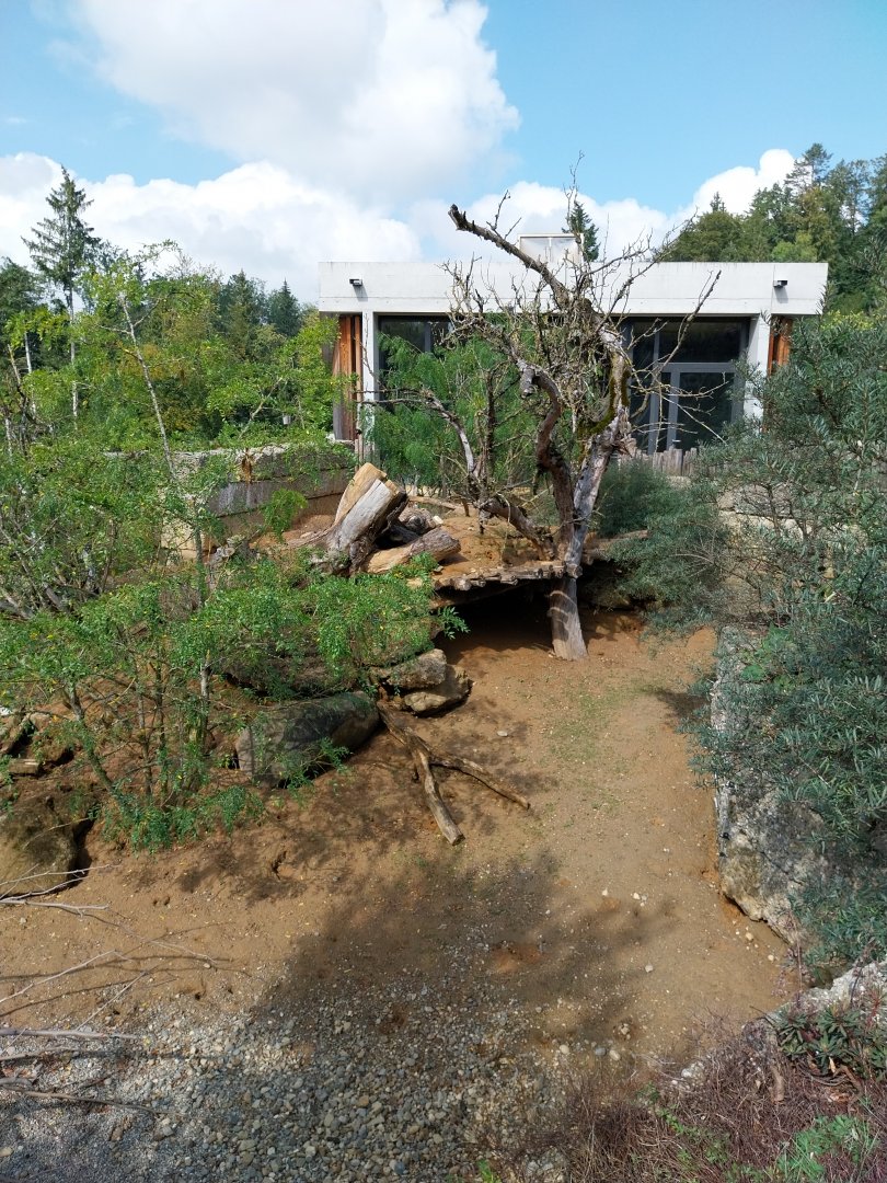 Savannenhaus - Meerkat enclosure
