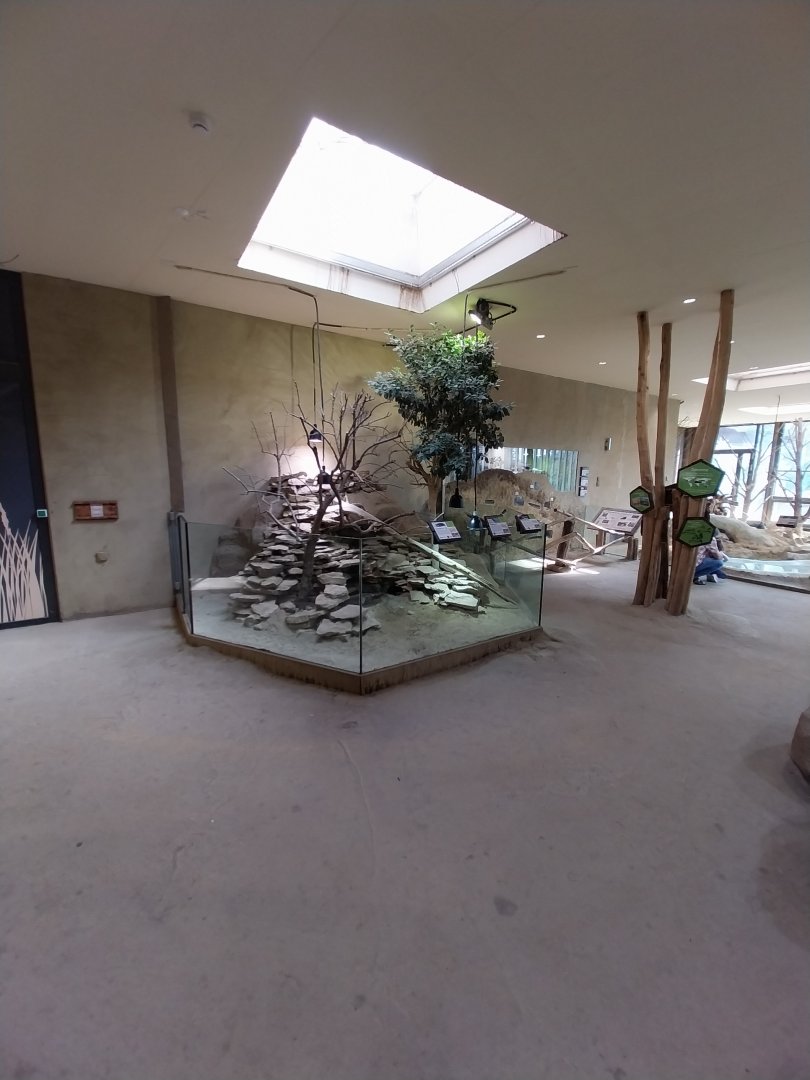 Savannenhaus - Mixed species enclosure