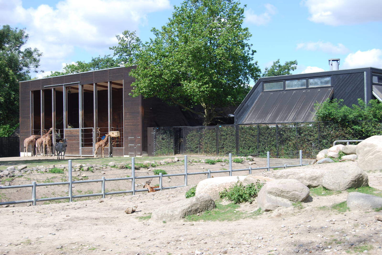 Savannha and Giraff House