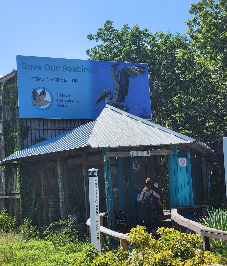 Save Our Seabirds - Entrance