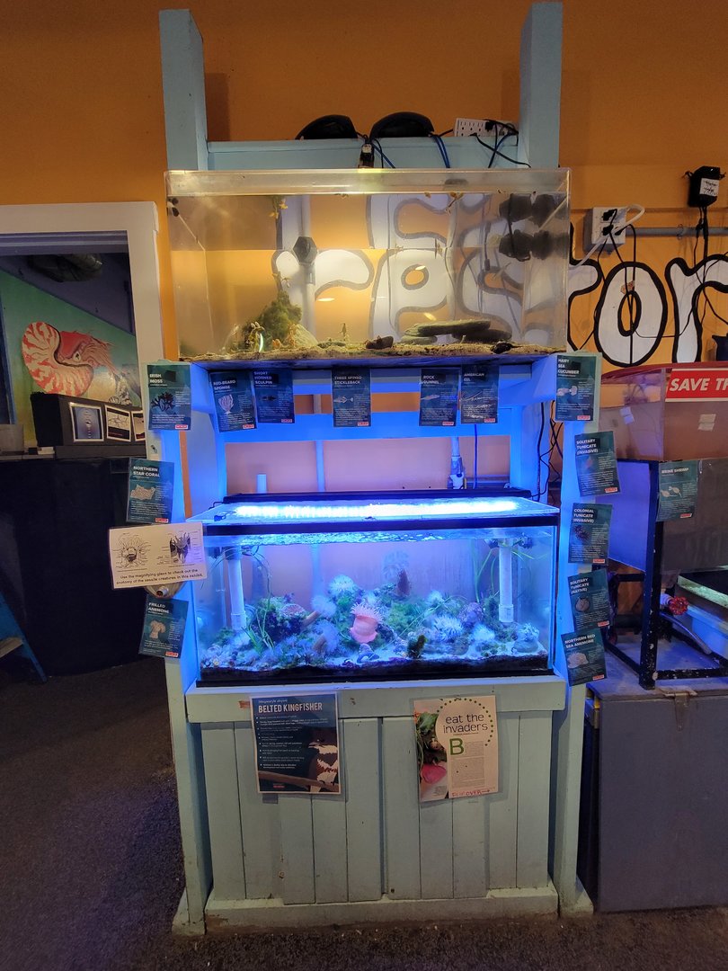 Save the Bay 7/22 - Previous two tanks