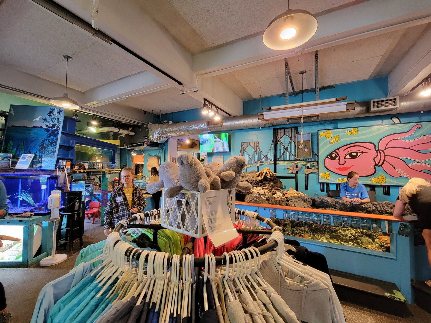 Save the Bay 7/22 - Touch tank, gift shop area