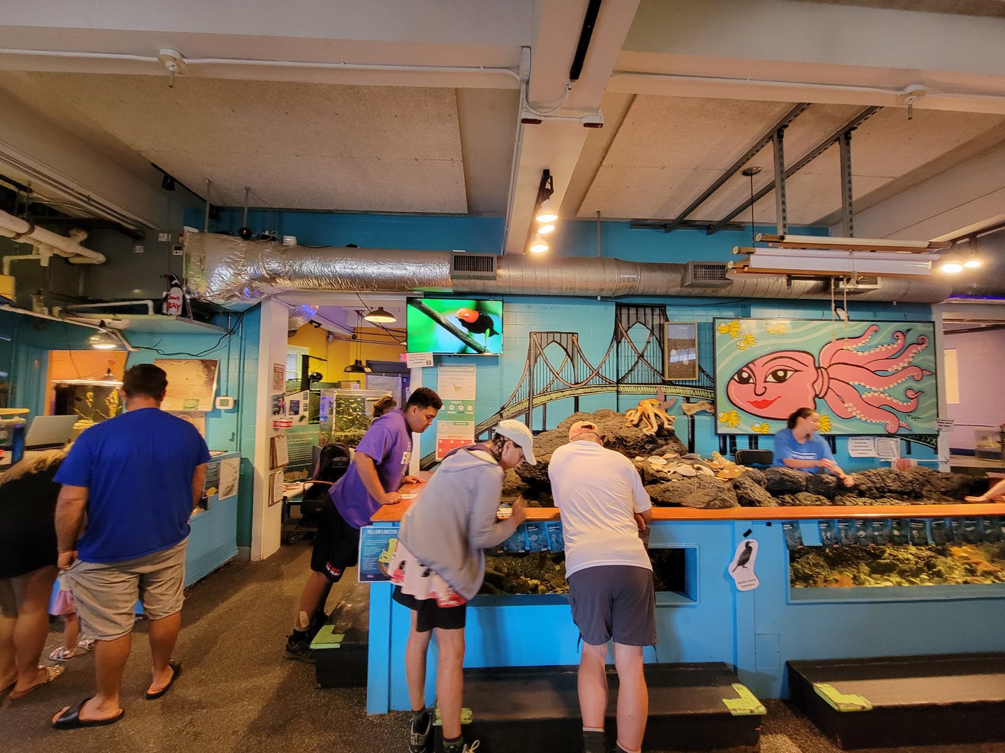 Save the Bay 7/22 - Touch tank, inside entrance