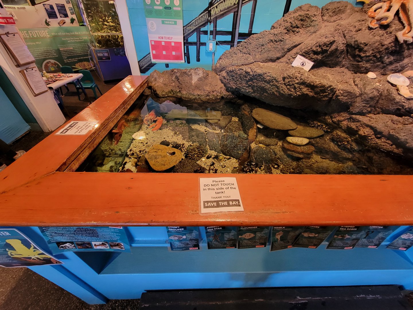 Save the Bay 7/22 - Touch tank