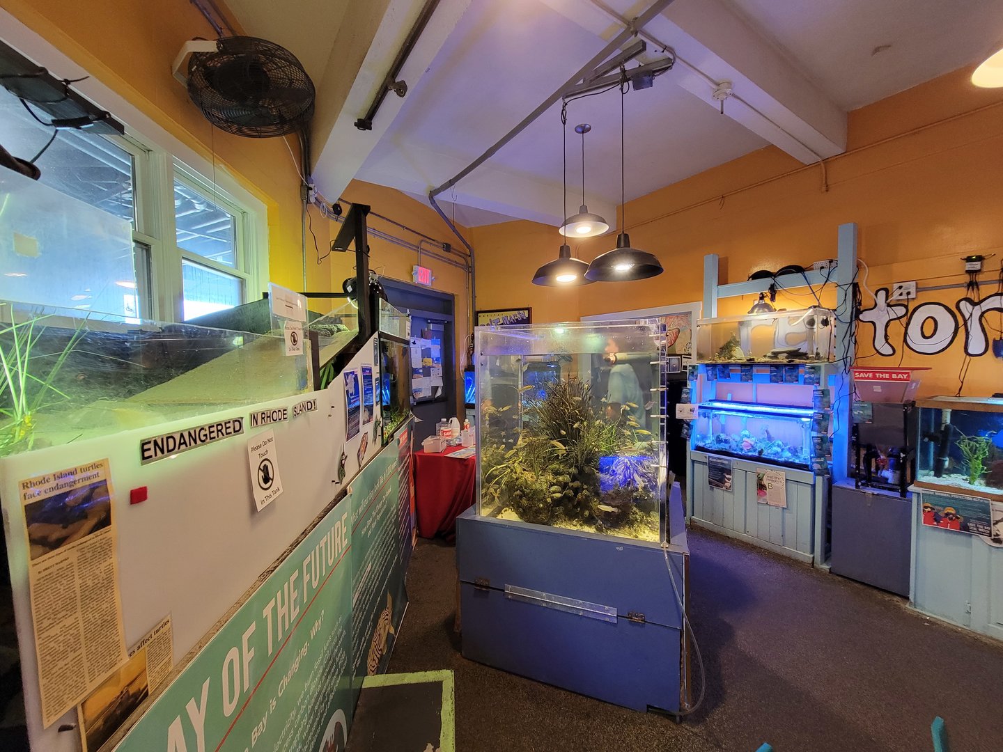 Save the Bay 7/22 - View of room