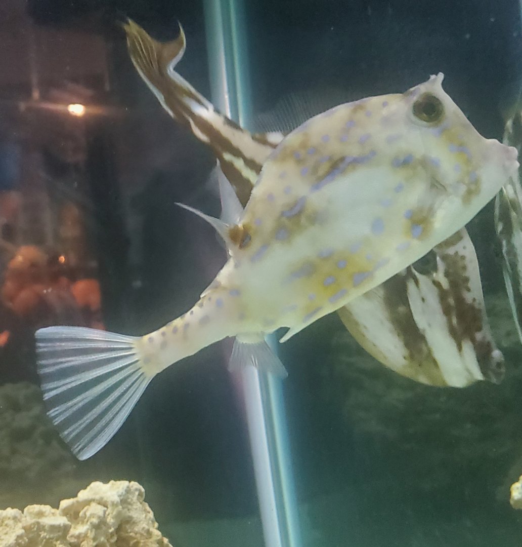 Save The Bay Aquarium (2022)