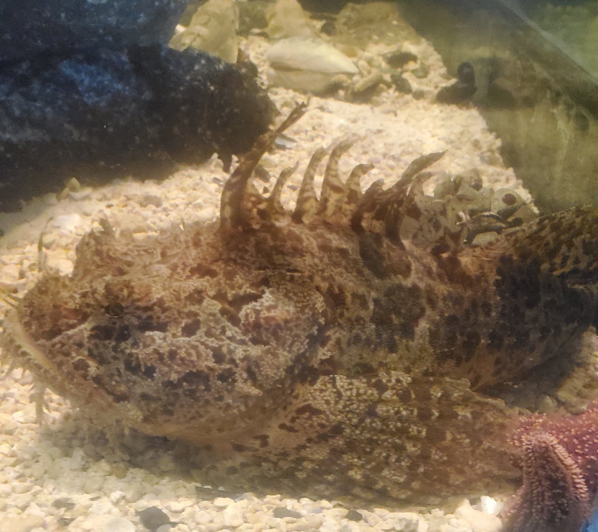 Save The Bay Aquarium (2022)