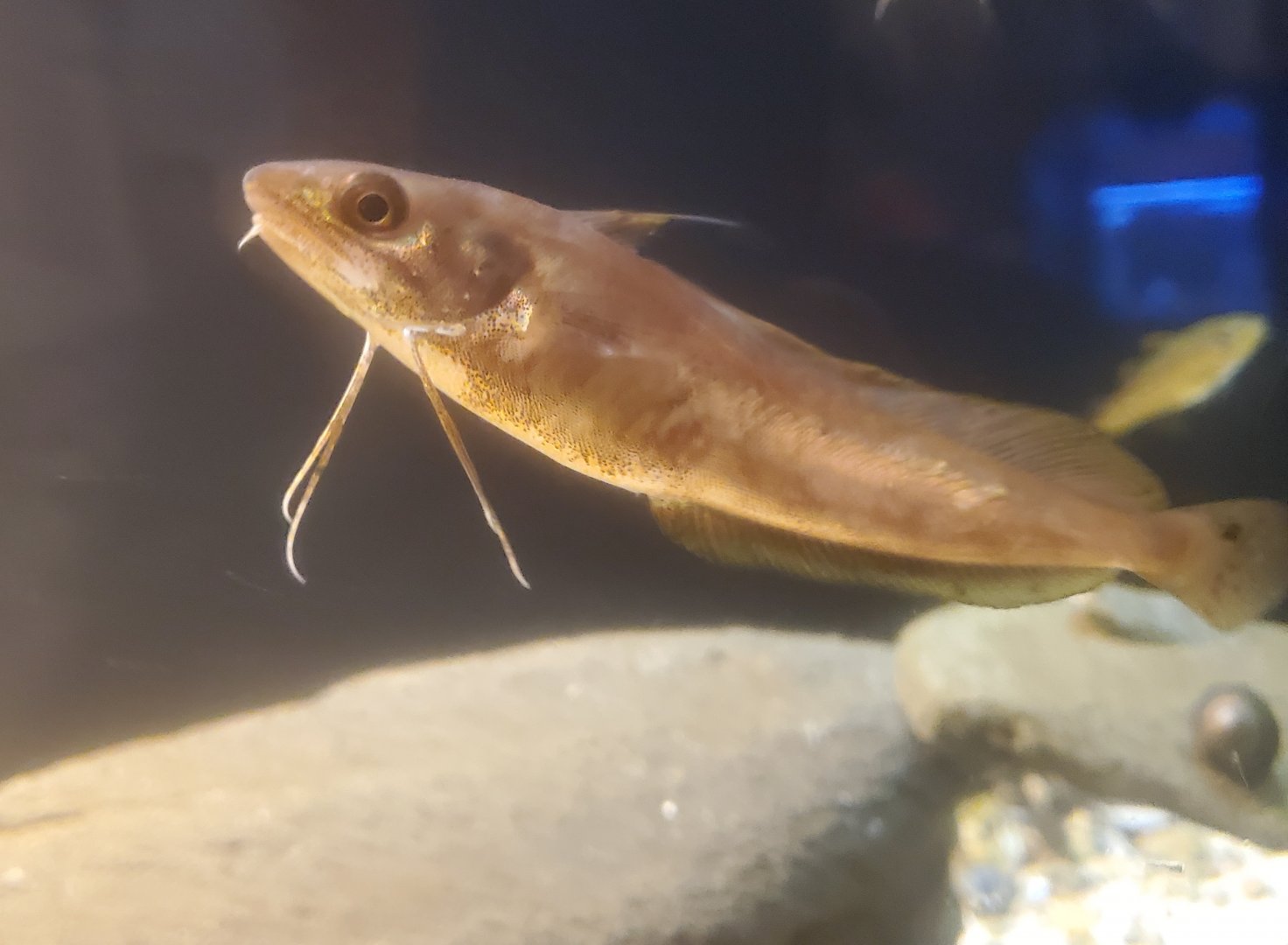 Save The Bay Aquarium (2022)